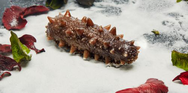 怎樣快速的區(qū)分淡干海參、鹽干海參和凍干海參？