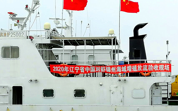 達蓮公司完成了2020年度省中國對蝦增殖放流任務